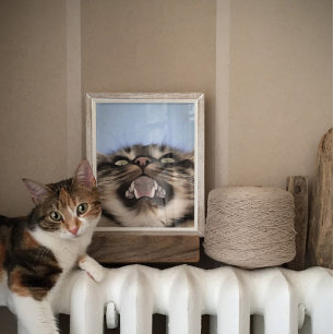 Fättiksyra av Tabby katt Poster