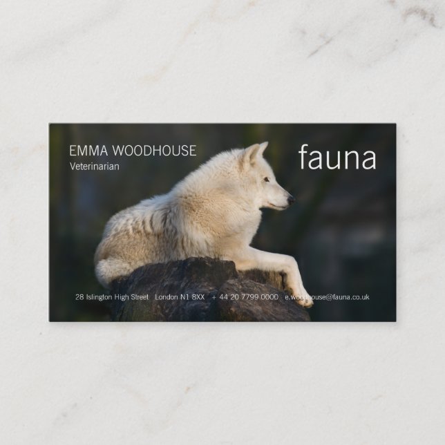 Fauna - arktisk vargvisitkort visitkort (Framsida)