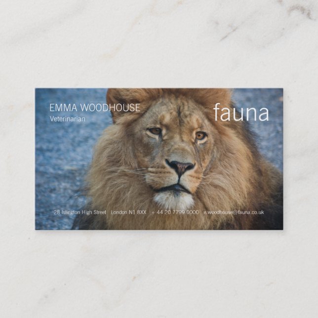 Fauna - lejon visitkort (Framsida)