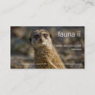 Fauna - Meerkat visitkort