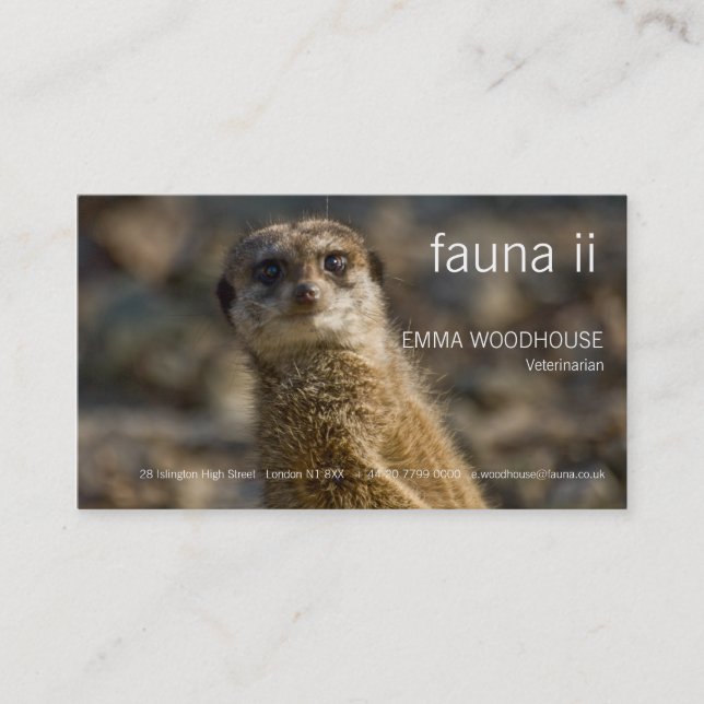 Fauna - Meerkat visitkort (Framsida)