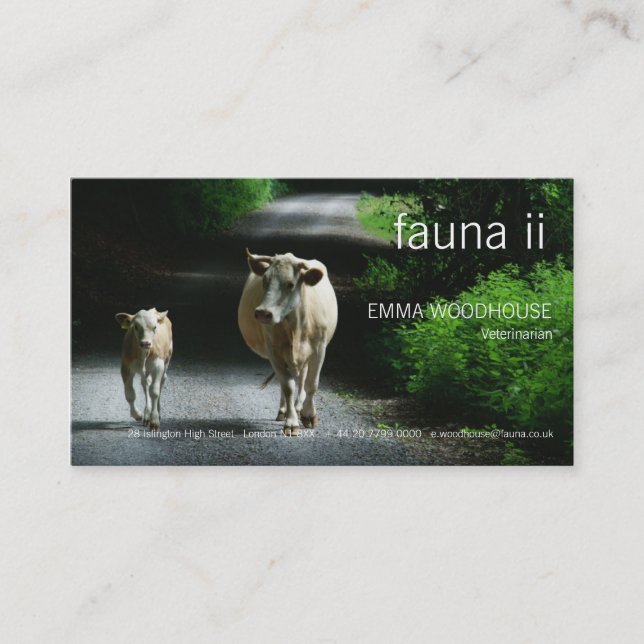 Fauna - två kor på den Bummel visitkorten Visitkort (Framsida)