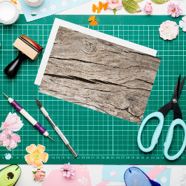 Faux Cracks Träd Bark Scrapbook Papper