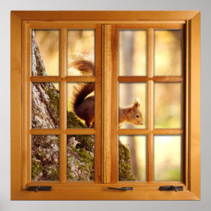 Faux-fönsterbild i kvadrat - ekorre poster
