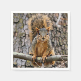 Faux fox squirrel pappersservett