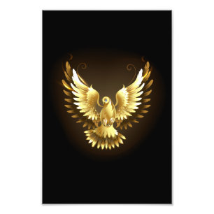Faux Gold Foil Peace Dove on Black Fototryck