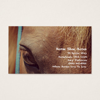 Faux Vintage Sorrel Horse Visitkort