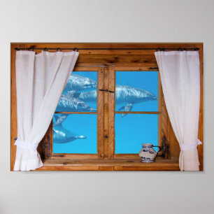 Faux Window View Underwater Dolphins Ocean Roligt Poster
