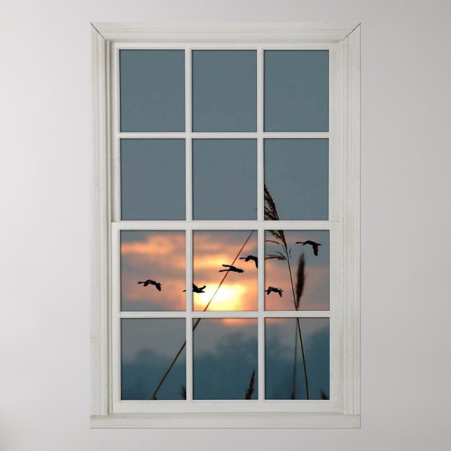 Faux Window White Wood Window Ram Flock of Birds Poster (Framsidan)