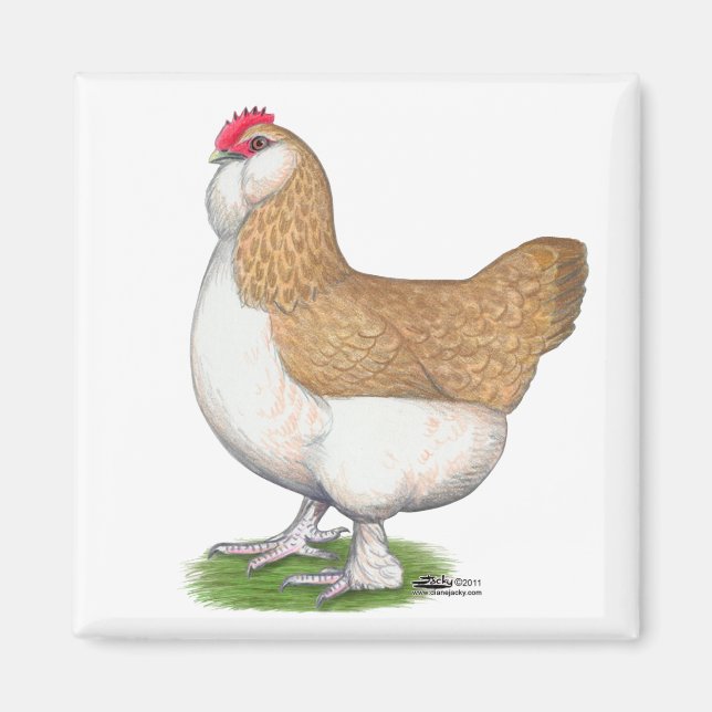 Faverolle Hen Magnet (Framsidan)