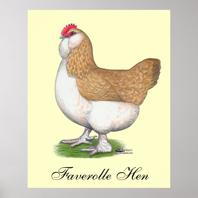 Faverolle Hen Poster (Framsidan)