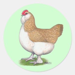 Faverolle Hen Runt Klistermärke