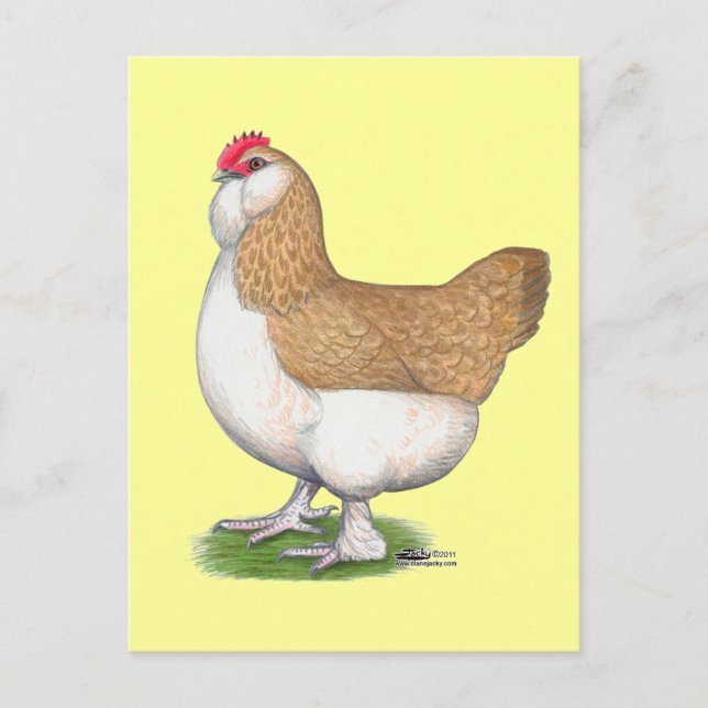 Faverolle Hen Vykort (Framsida)