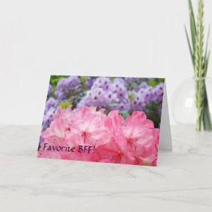 Favorit BFF! Kort Rosa Purpur Rododendron