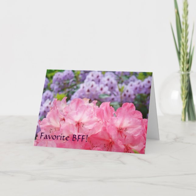 Favorit BFF! Kort Rosa Purpur Rododendron (Framsida)