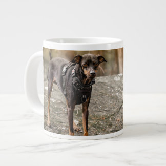 Favorit Husdjurs Foto Personlig Hund Katt Porträtt Jumbo Mugg