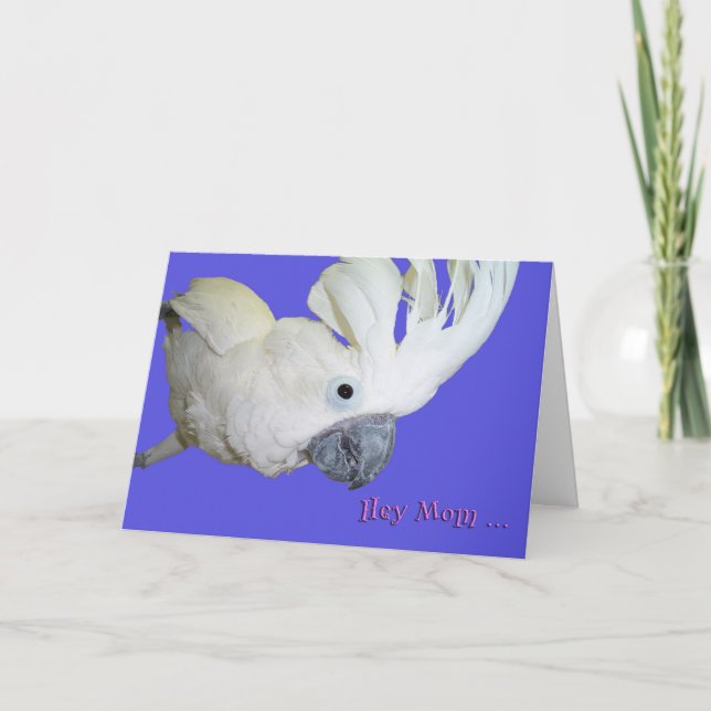 Favorit Kort (Framsida)