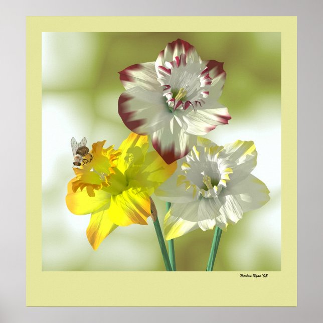 Favorite Färg Poster (Framsidan)