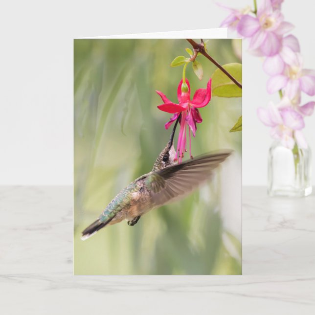 Favorite Fuchsia Hummingbird Kort (Orkide)