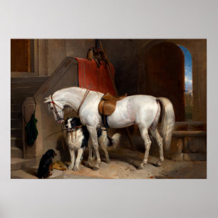 Favoriter, Egendom av prins George av Cambridge Poster