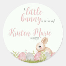 Favoriter för parti för babyvy för påskhare