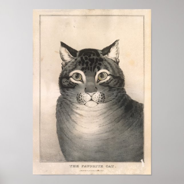 Favoritkatortografen - Nathaniel Currier Poster (Framsidan)