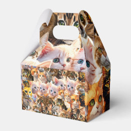 Favoritruta Presentaskar