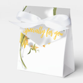 Favoritruta Presentaskar