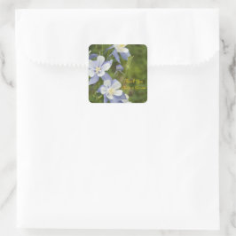 Favorittagg för Blue Columbine Flowers Bröllop Tac Fyrkantigt Klistermärke
