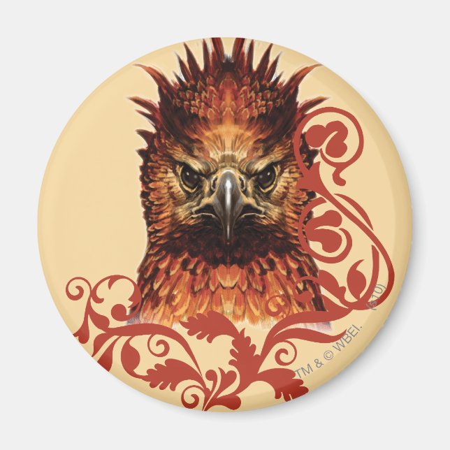 Fawkes Staring Magnet (Framsidan)