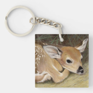 Fawn