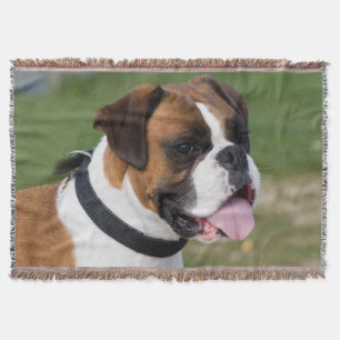 Fawn and White Boxer Puppy Hund Filt