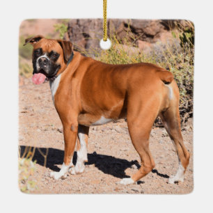 Fawn and White Boxer Puppy Hund Julgransprydnad Keramik