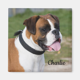 Fawn and White Boxer Puppy Hund Magnet