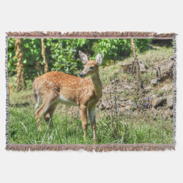 Fawn Filt (Framsidan)
