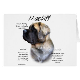 Fawn Fluffy Mastiff Historik Hälsningskort