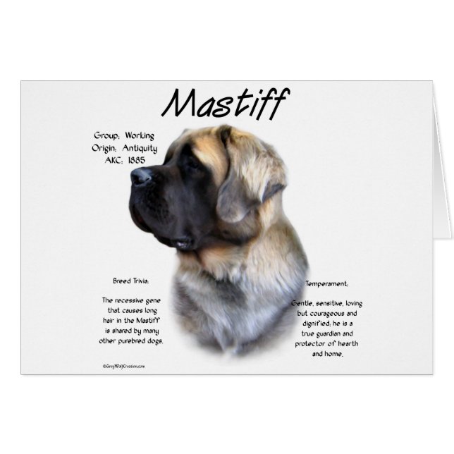 Fawn Fluffy Mastiff Historik Hälsningskort (Framsidan Horizontal)