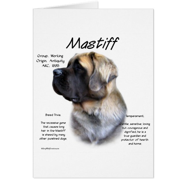 Fawn Fluffy Mastiff Historik Hälsningskort (Framsidan)