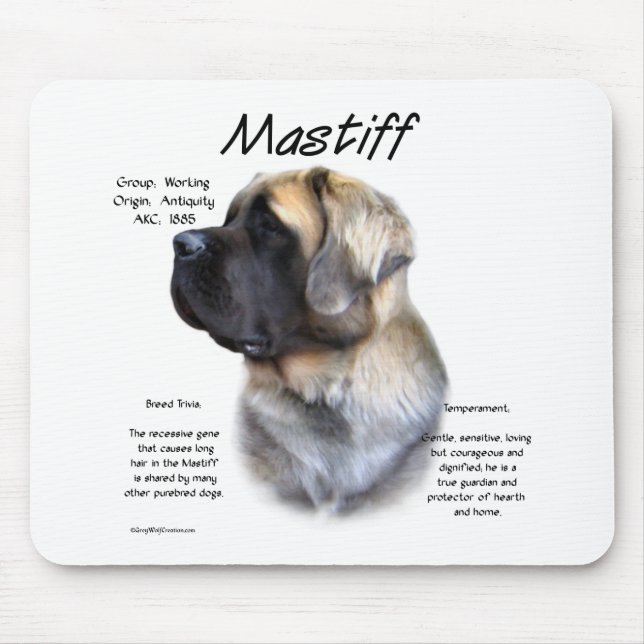 Fawn Fluffy Mastiff Historik Musmatta (Framsidan)