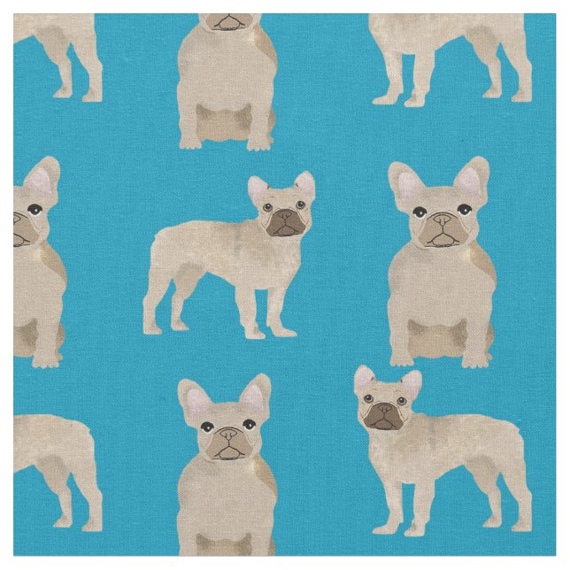Fawn Frenchie Hund Teal Tyg (Närbild)