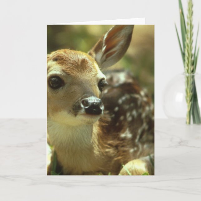 Fawn Greeting Card Kort (Framsida)