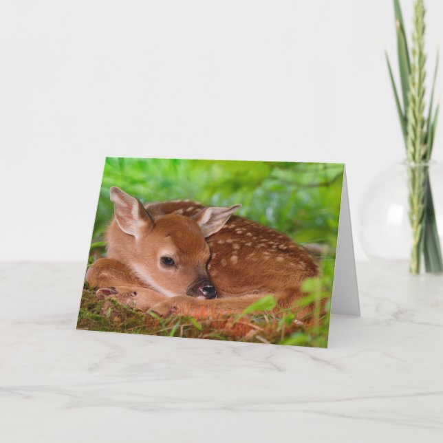 Fawn Greeting Card Kort (Framsida)