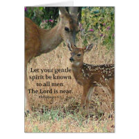 Fawn Hjort Nature Wildlife Christian Creationarts