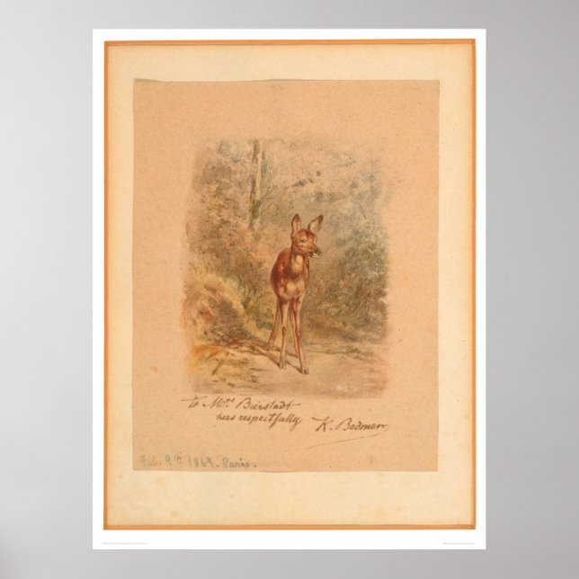 Fawn in Forest (0567A) Poster (Framsidan)