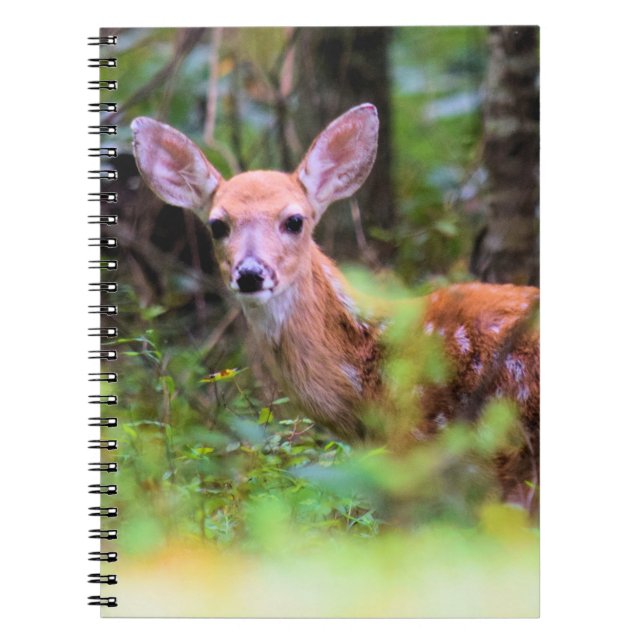 Fawn in Skogen - Peek-a-boo - Notebook Anteckningsbok (Framsidan)