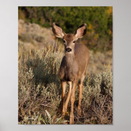 Fawn in the Vild Kanvastryck Poster