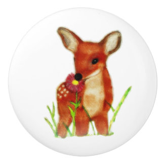 Fawn Knopp
