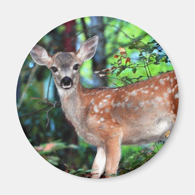 Fawn Magnet (Framsidan)