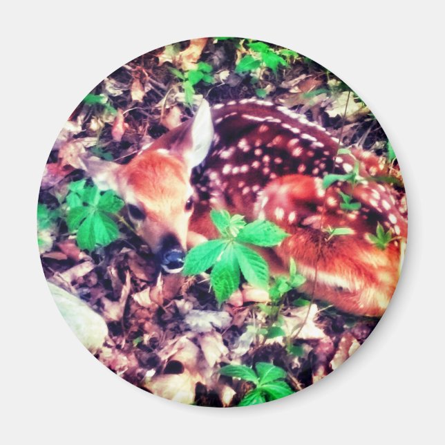 FAWN MAGNET (Framsidan)