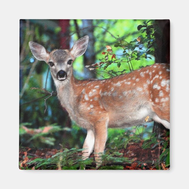 Fawn Magnet (Framsidan)